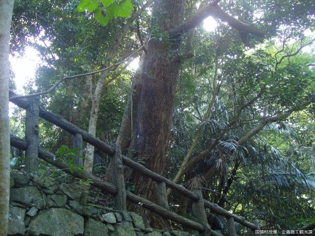 Walking path (2)