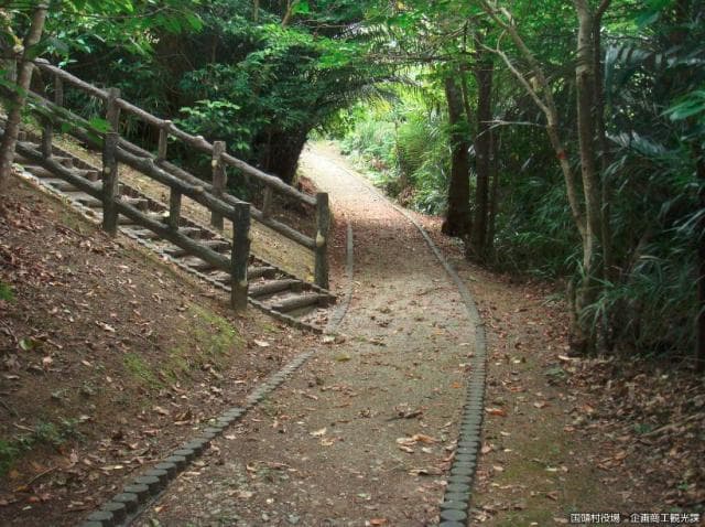 Walking path (3)