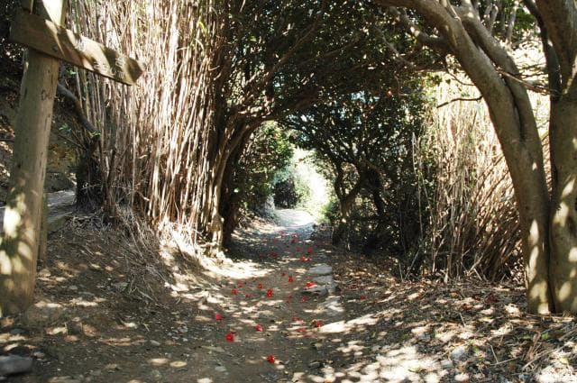 Lighthouse promenade