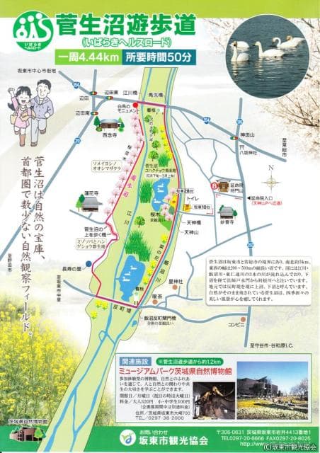 菅生沼遊歩道(いばらきヘルスロード)