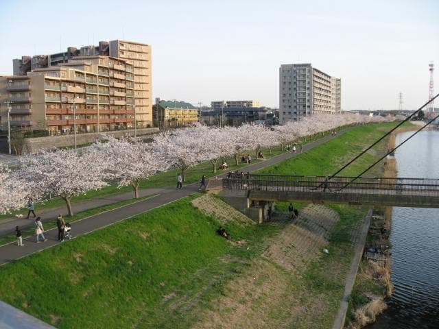 Shinkawa Promenade