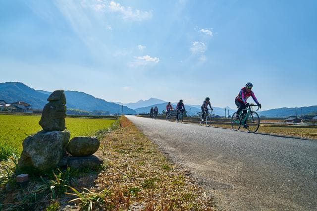 Rental cycle