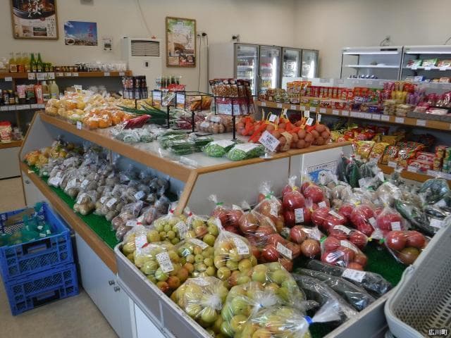 Hirokawa Municipal Fureaikan