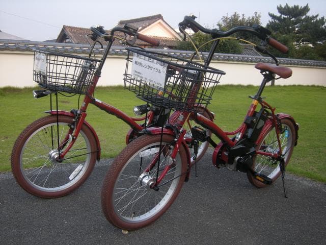 Electric assist type