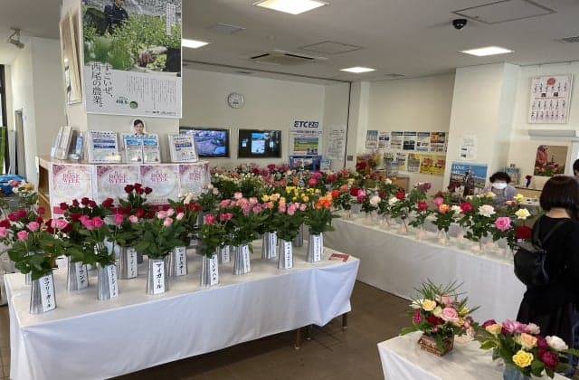 Nishio Rose Exhibition in Spring 2022