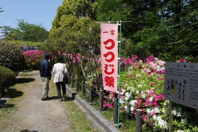 Ichinomiya Azalea Festival