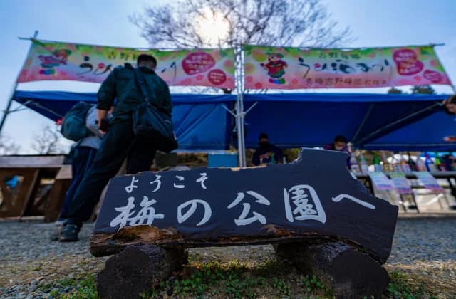 2022 Yoshino Umego Umego Umeshu Festival 1