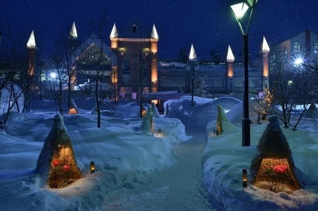 Winter Blooming Botan Festival