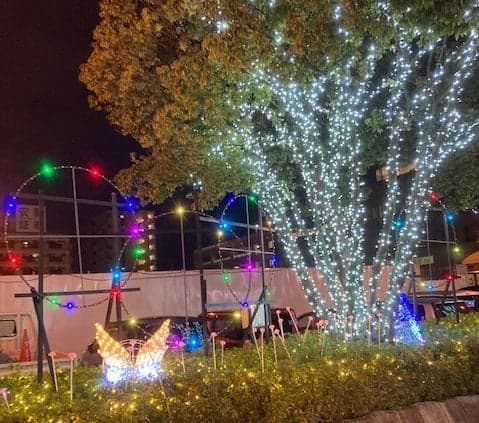 昨年度イルミネーション(令和2年)