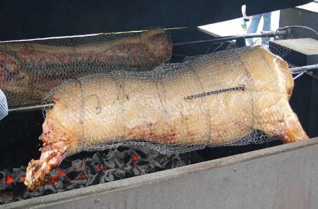 Toyoura SPF Pork