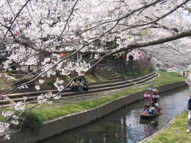 Sakura Festival (Fukiage venue)