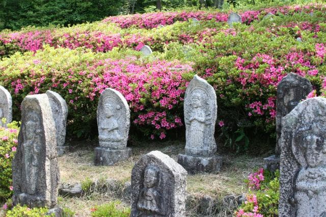 Satsuki Shofukuji