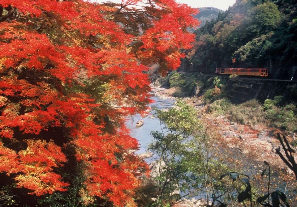 保津峡(保津川下り・嵯峨野トロッコ列車)の紅葉