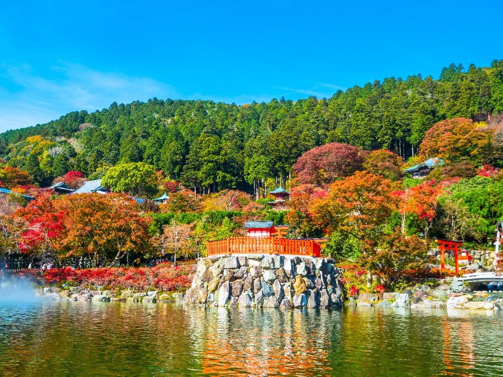 Autumn leaves in Minoh (Katsuo-ji Temple)