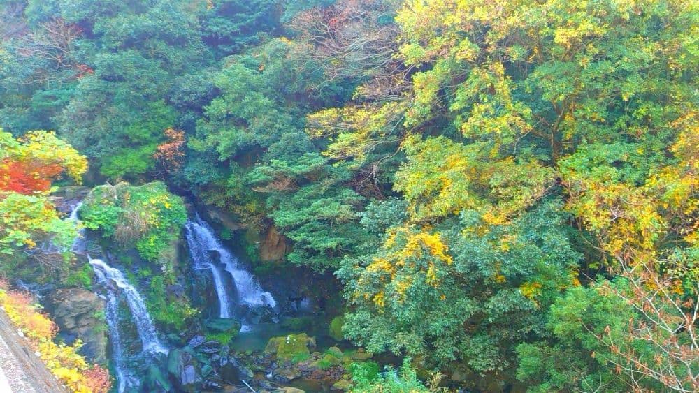 肥後耶馬渓の紅葉