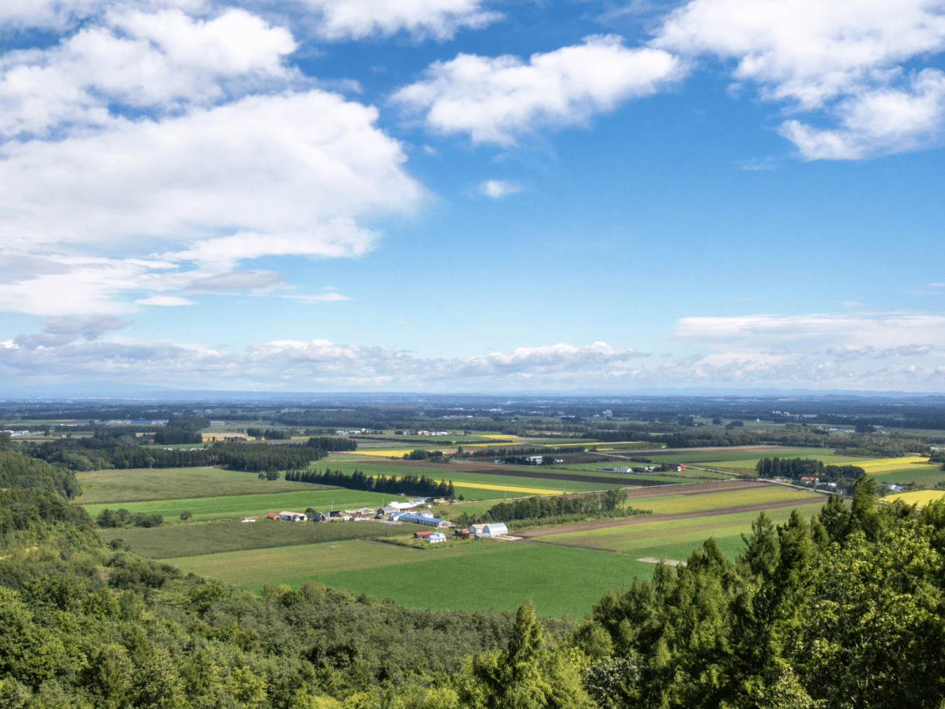 一本山展望台からの景色