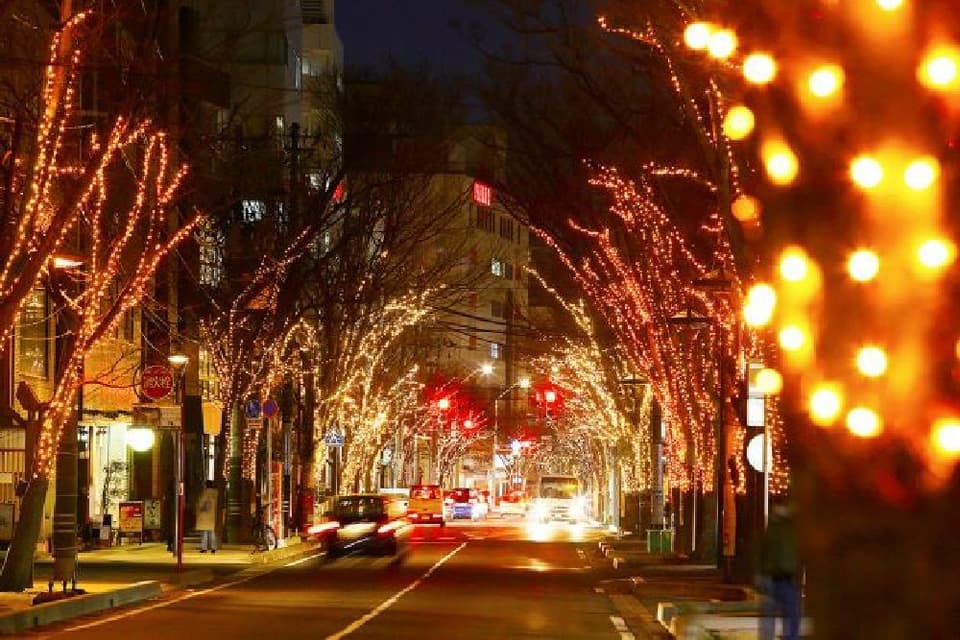 2024 NIIGATA Hikari Pageant