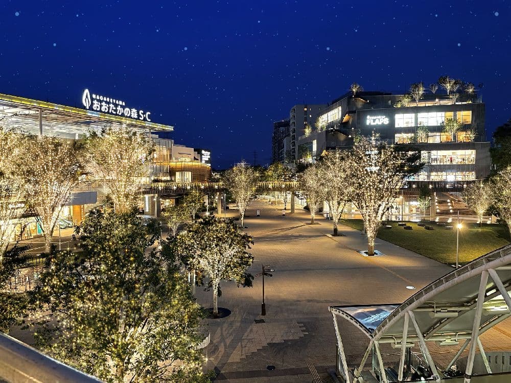 Nagareyama-Otakanomori Illumination 2023