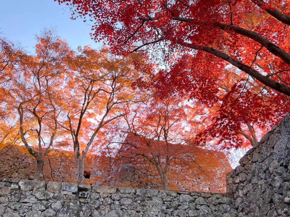 Autumn Tsuyama Castle Local Gourmet Festival