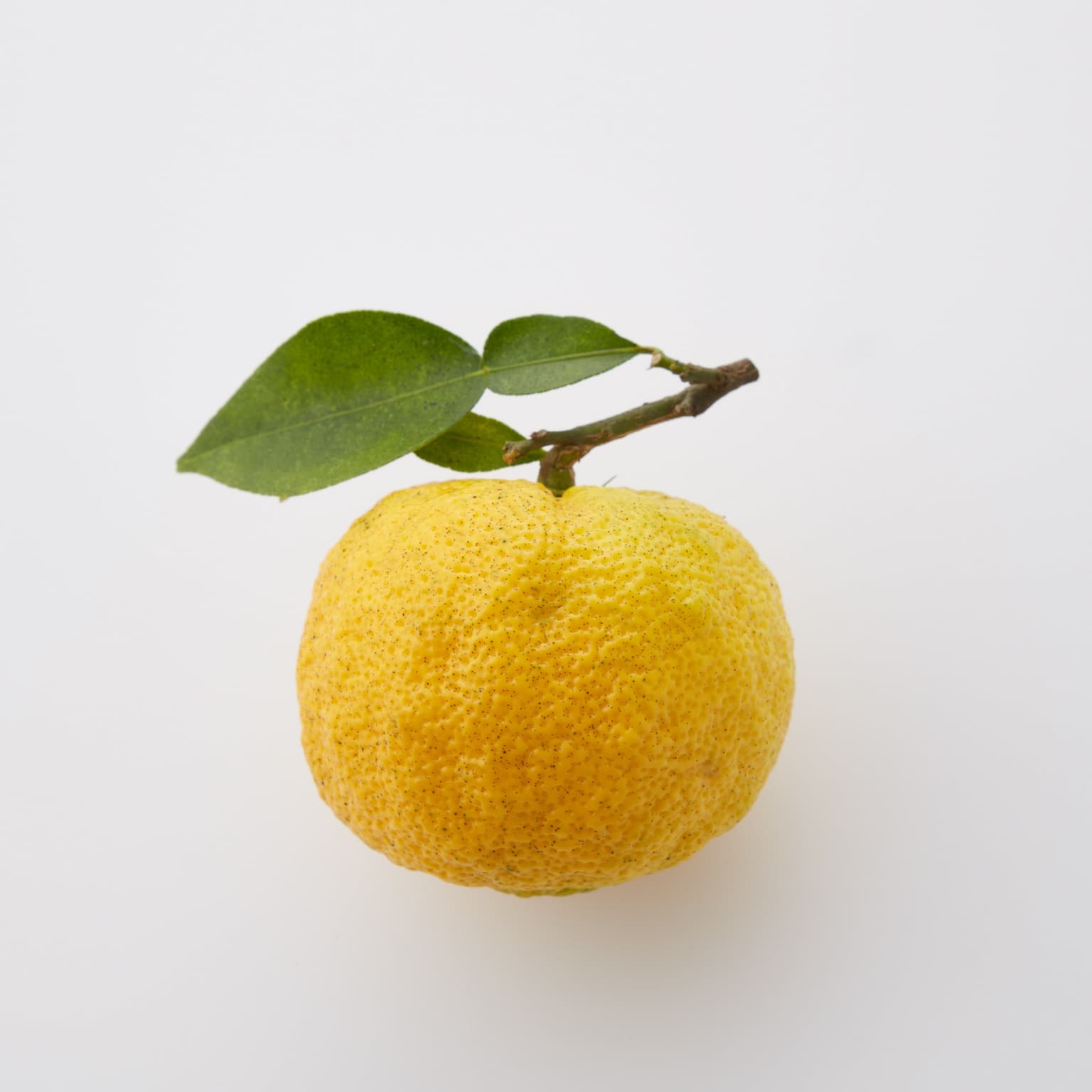 国造柚子(果実)