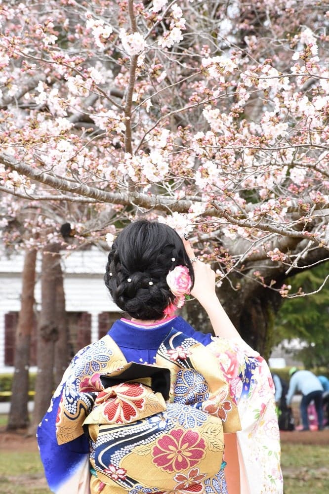Let's take a picture of the cherry blossoms
