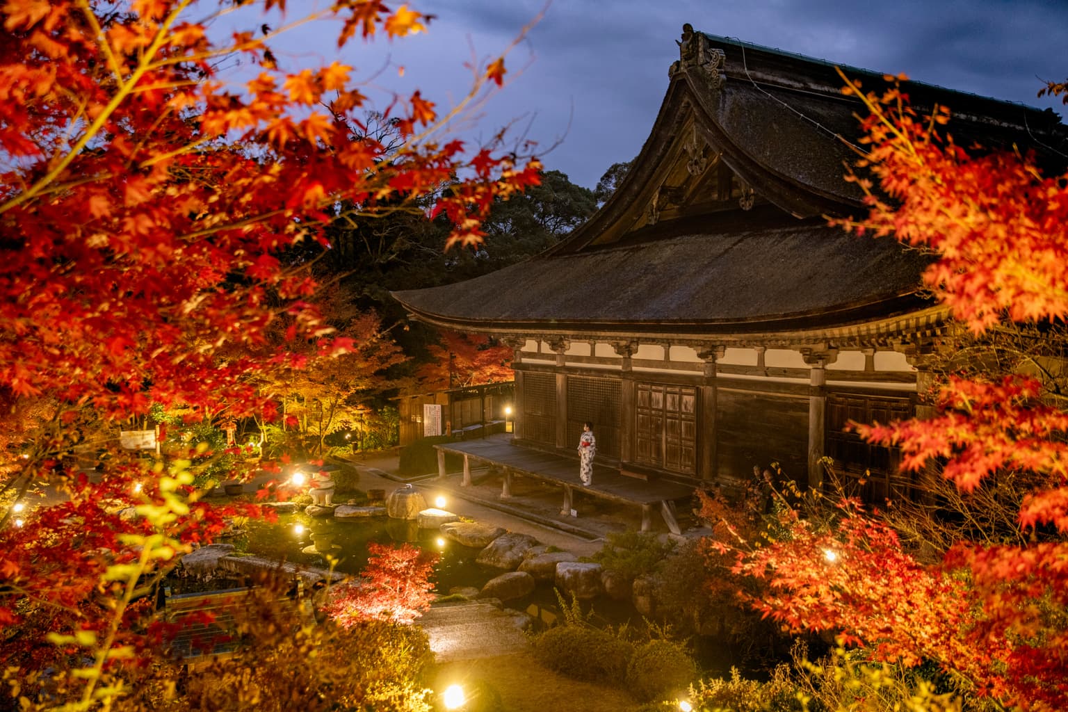 National Treasure Zensui-ji Temple Autumn Leaves Light Up