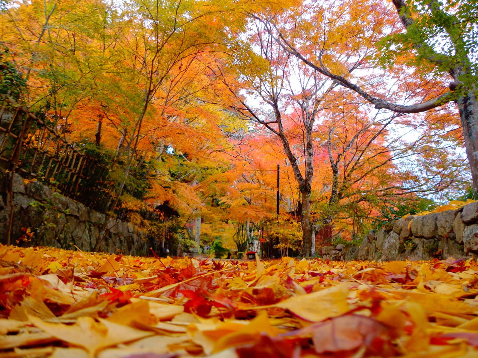 National Treasure Choju-ji Temple