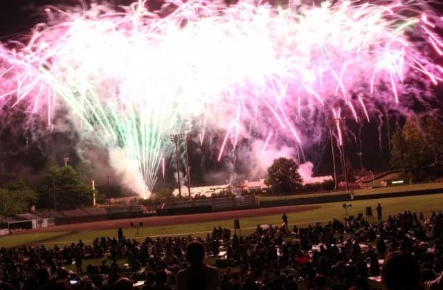 Aomori Prefecture Gonohe Summer Festival 2