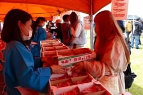 Strawberry Pork Festival