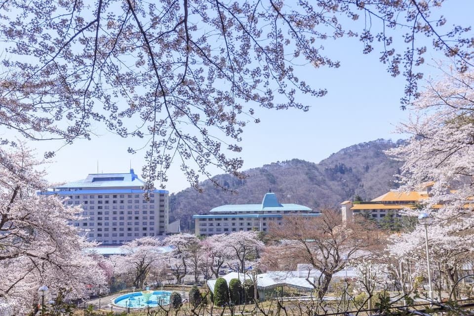 花巻温泉の桜