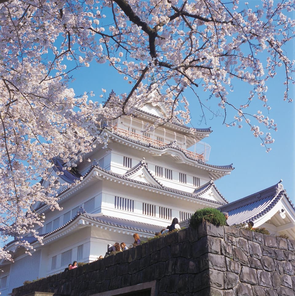 Chiba Castle (Local Museum) and cherry blossoms