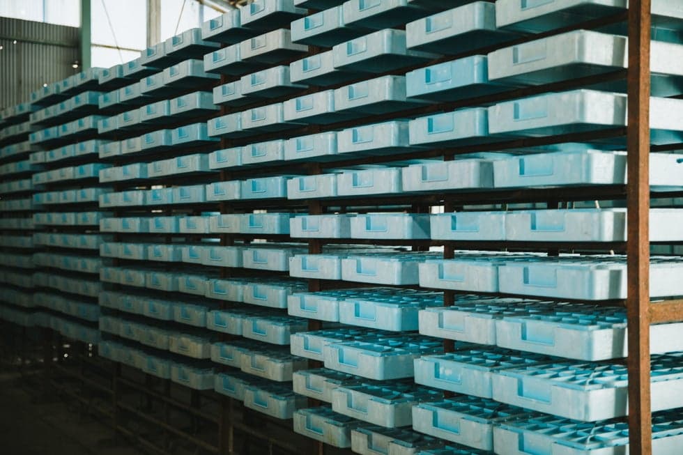 Visit the production sites of kilns and agar fields