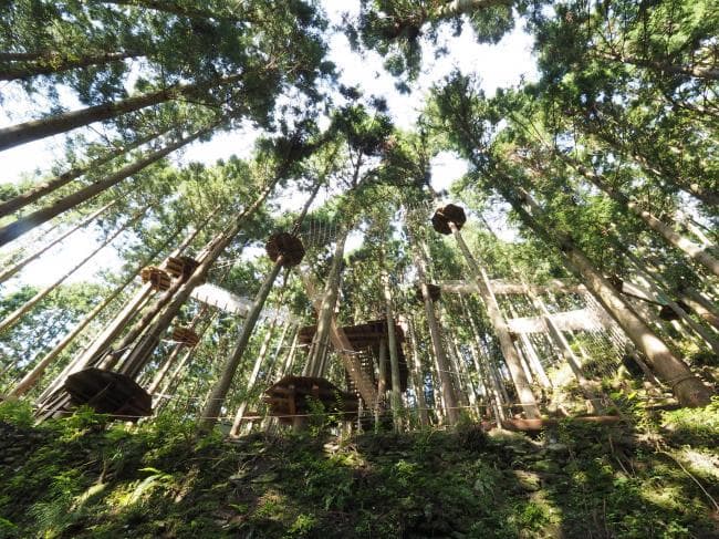 Photo 2 of Forest Adventure Iya