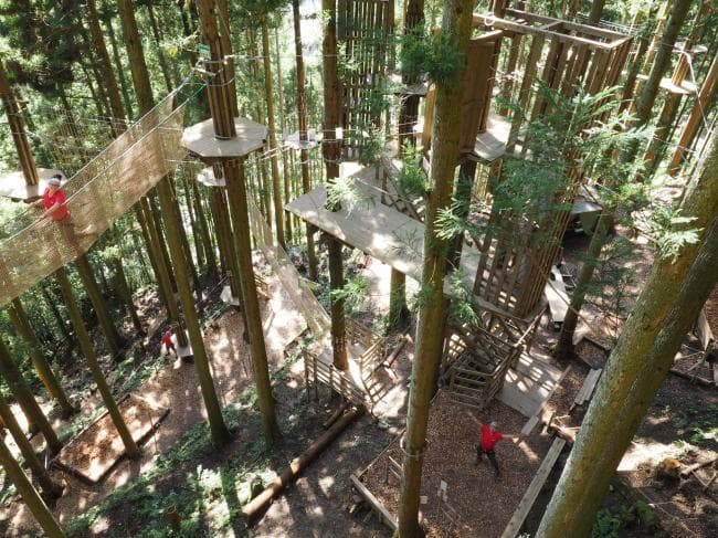 Photo of Forest Adventure Iya 3