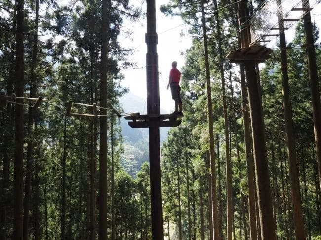 Photo of Forest Adventure Iya 4