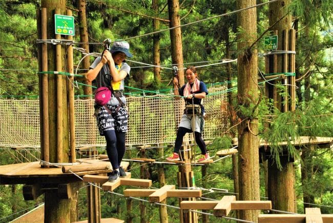 Photo of Forest Adventure Iya 5