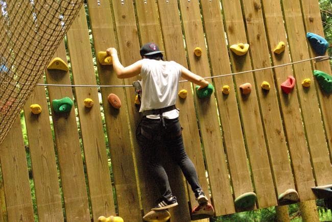 Photo of Forest Adventure Iya 6