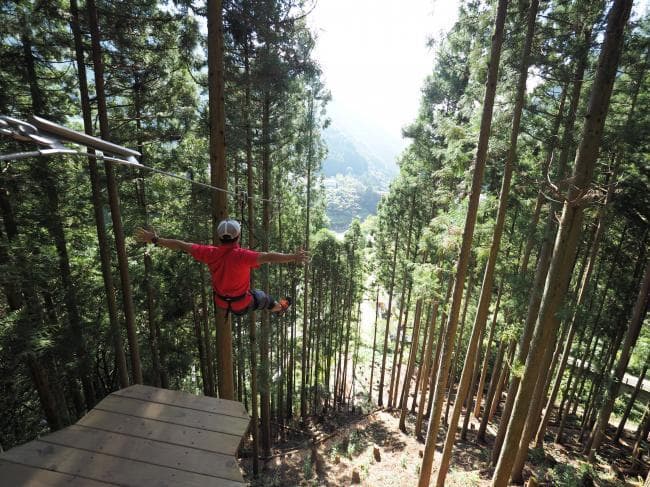 Photo of Forest Adventure Iya 7