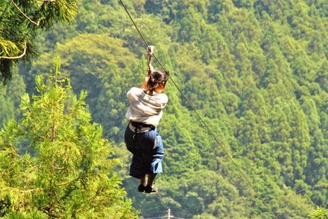 Image 8 of Forest Adventure Iya