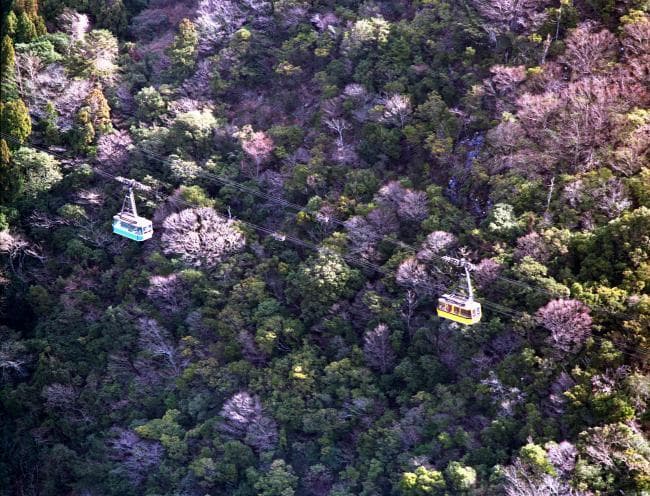 Image 2 of Tairyuji Ropeway