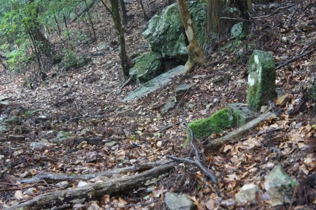 Image 7 of Tairyuji Ropeway