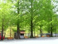 Image 2 of Wajiki Outdoor Activity Center in Nagamachi