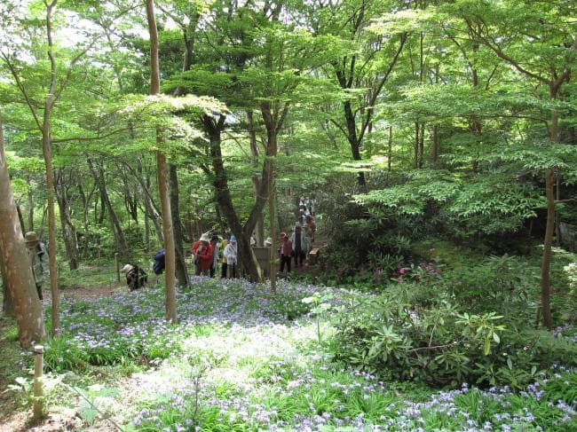 Image of Taketo no Mori Campsite 7