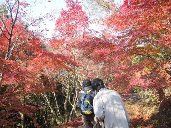 Image of Misato Bussankan 10