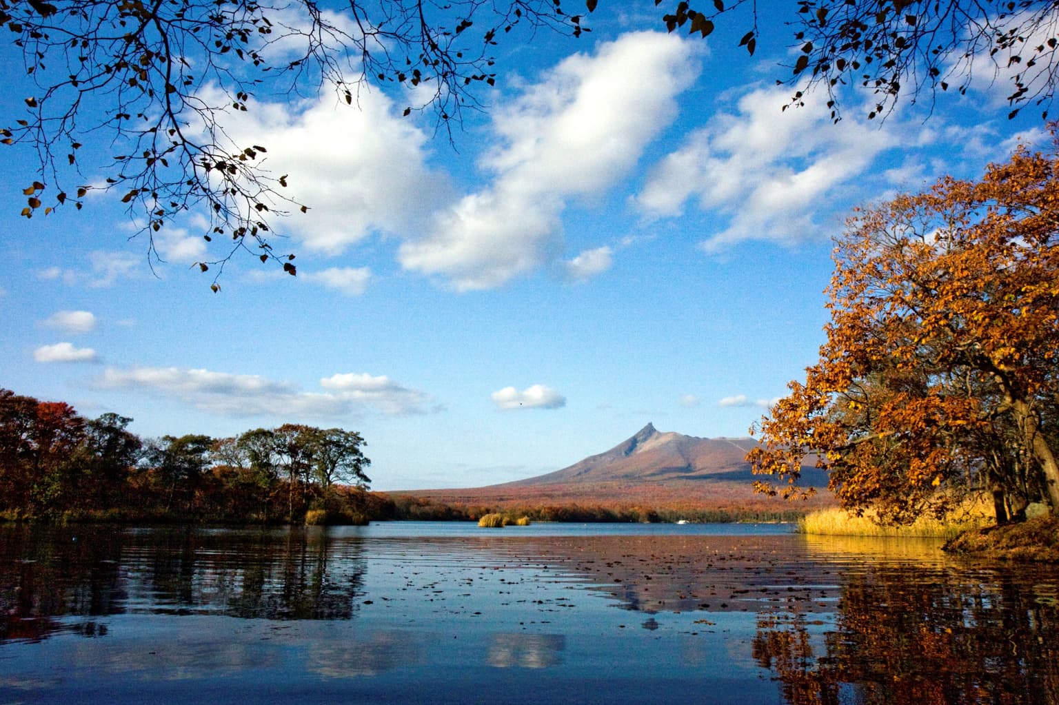 大沼(大沼公園、月見橋、大沼湖畔)の紅葉