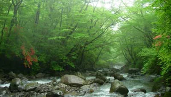 那須高原(那須平成の森・駒止の滝)の紅葉