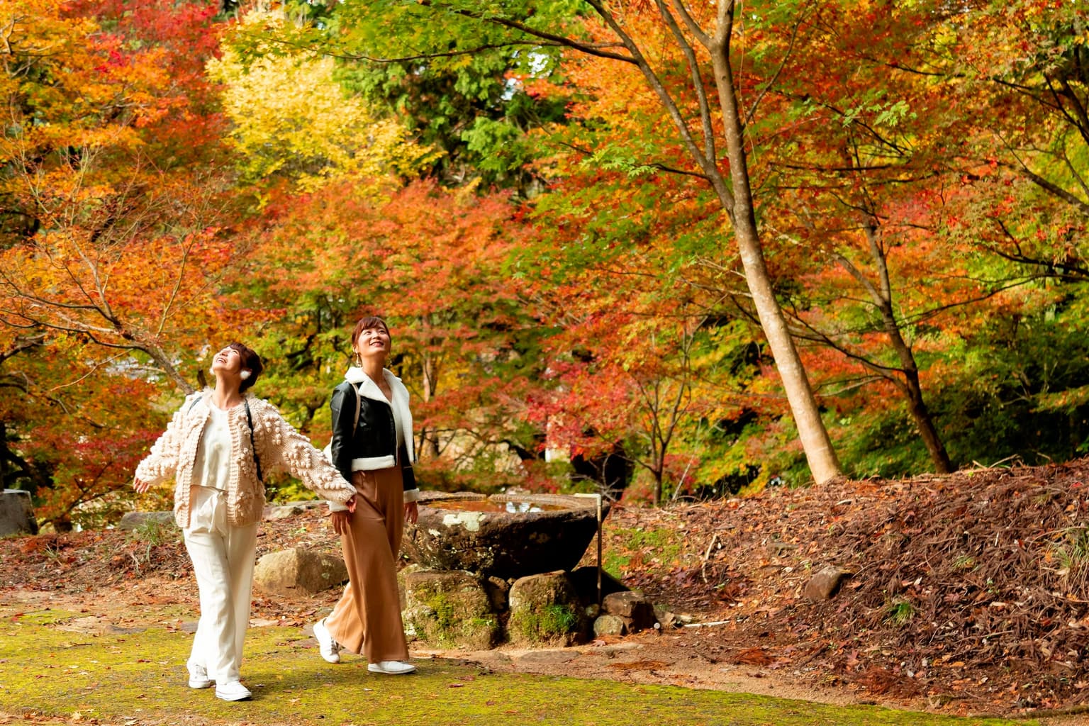 Autumn leaves of Kotohira-jinja Shrine