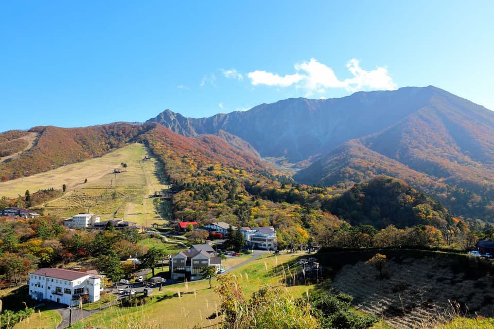 大山(大山寺エリア)の紅葉