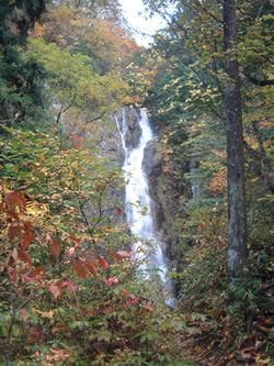 Autumn leaves of Hitamikyo