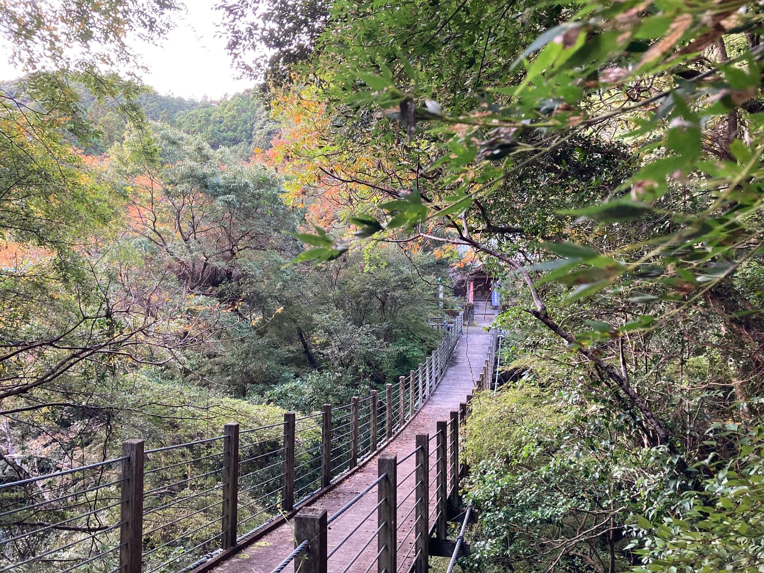 Autumn leaves of Kajika Bridge